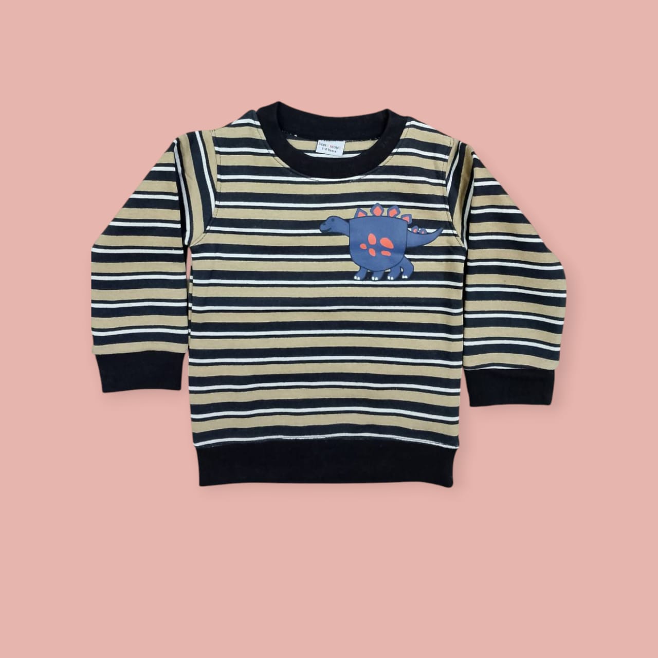 Dino Black Stripped Boys Sweatshirt